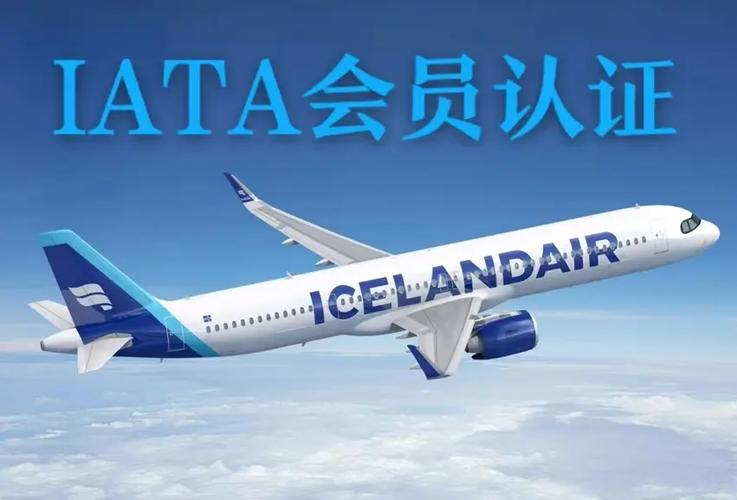 全面解析 WCA世界货运联盟资格会员证书申请、美国FMC资质备案与无船承运业务的关系与实操指南